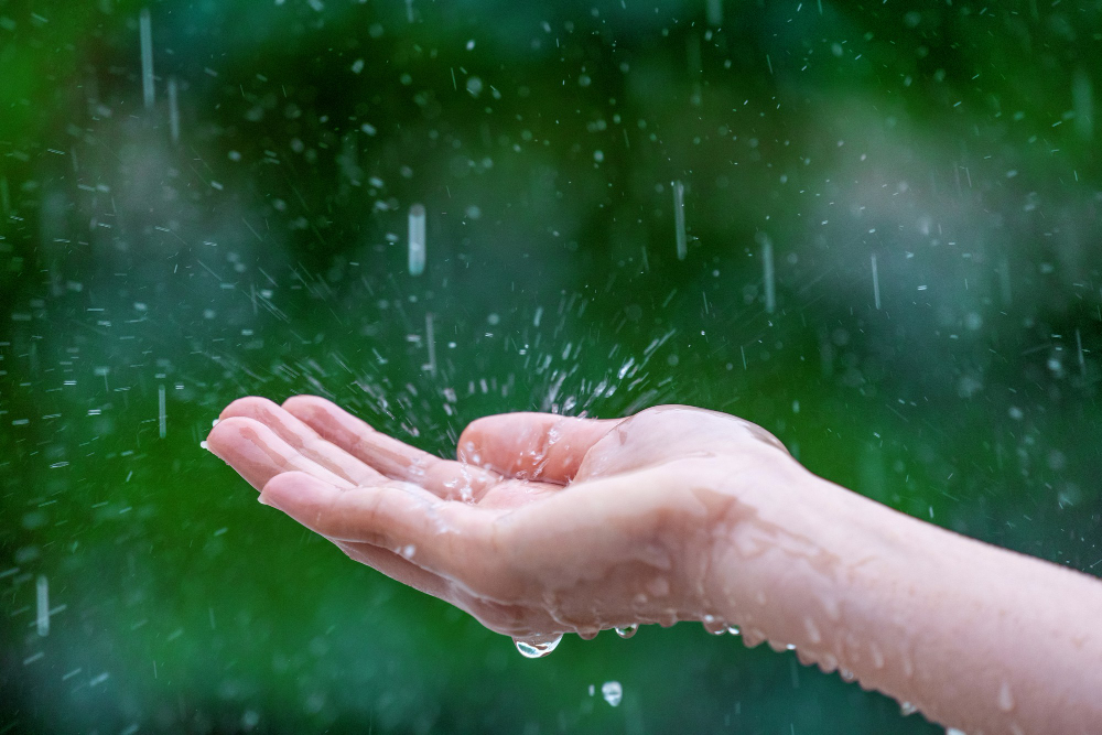 Meteorologiczne „Białe Plamy”: Dlaczego w Kętrzynie deszcz pada, a w pobliskich Korszach ani kropli?